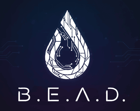 The Bead